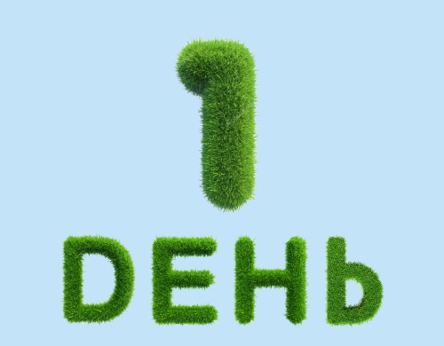 1 день